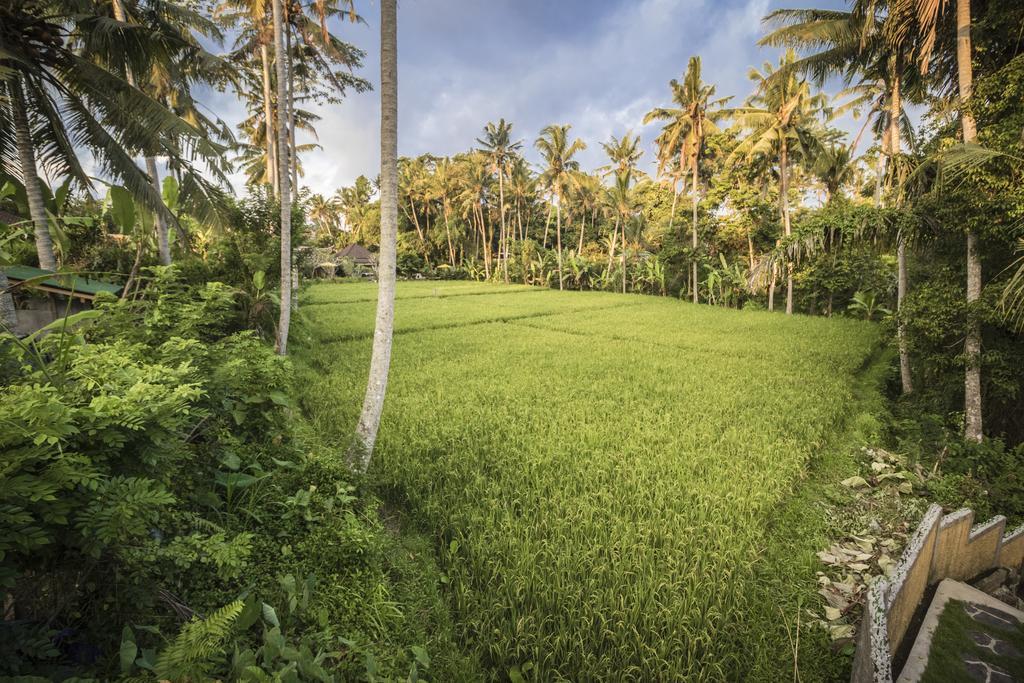 Junjungan Serenity Ubud Villa & Spa Exterior foto