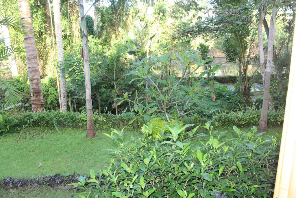 Junjungan Serenity Ubud Villa & Spa Exterior foto